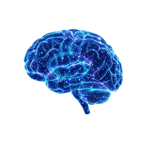 Brain Consulting Services – Intelligence et Innovation